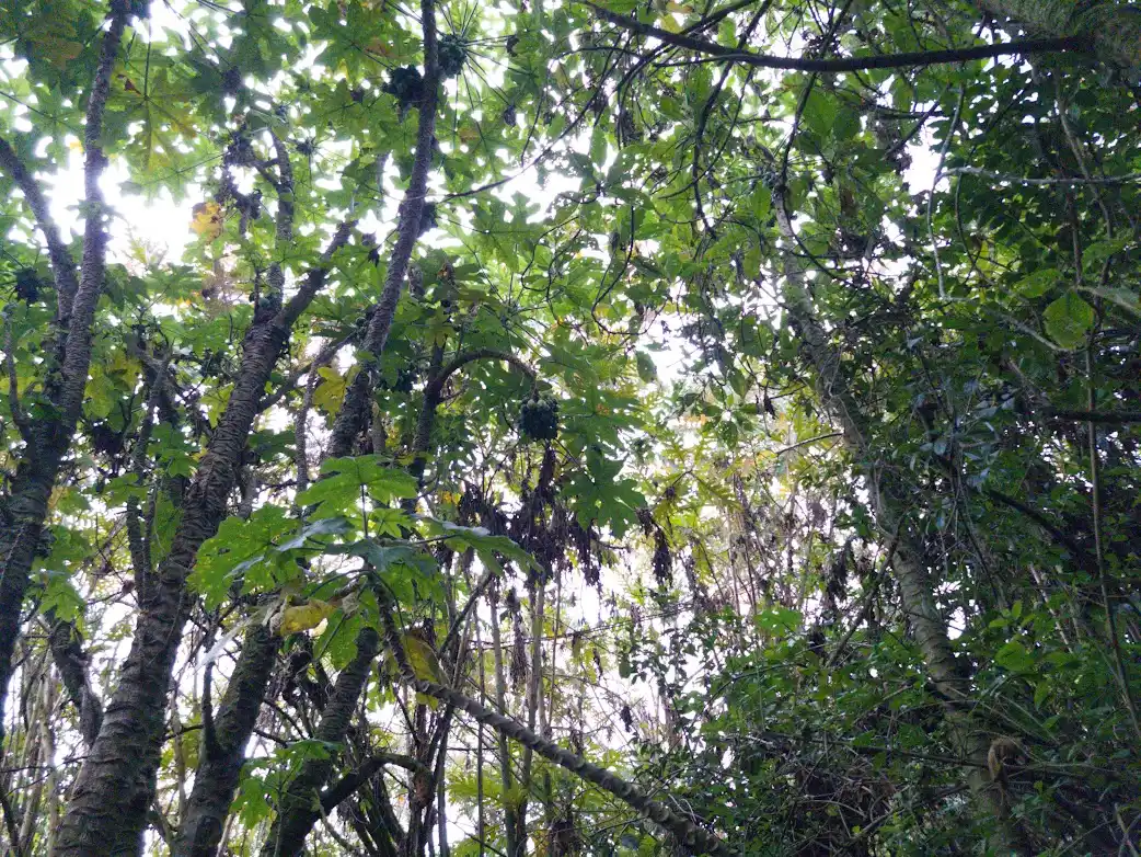 COLOQUIO ARMONÍAS